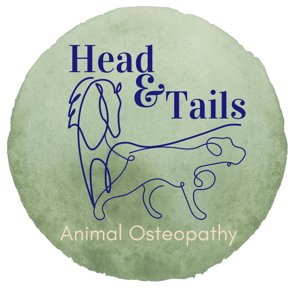 Head & Tails Animal Osteopathy logo